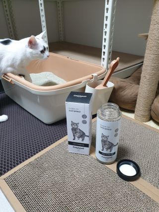 귀욤뽀짝센스쟁이님이 올린 리뷰 사진 2