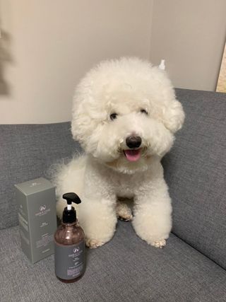 마리앤루이펫샴푸 [mari and louie pet shampoo] — 5점을 준 리뷰어가 2021년 6월 올린 사용 사진
