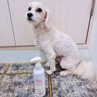 가드니아님이 올린 리뷰 사진 1