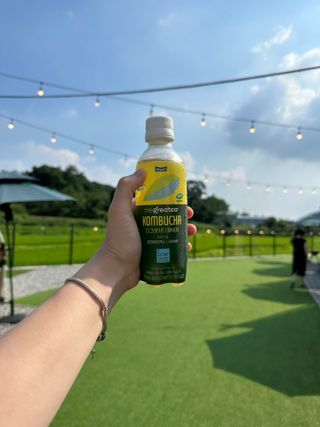 더그레잇티 콤부차 [매일유업] 더그레잇티 44kcal 콤부차 300ml *12개입 (오리지널 6개+베리리치 6개) — 5점을 준 리뷰어가 2023년 8월 올린 사용 사진