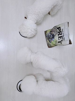 alice님이 올린 리뷰 사진 3