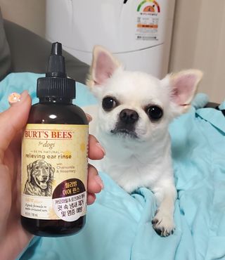 옙삐맘님이 올린 리뷰 사진 1