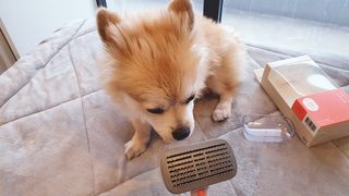 좋아님이 올린 리뷰 사진 4