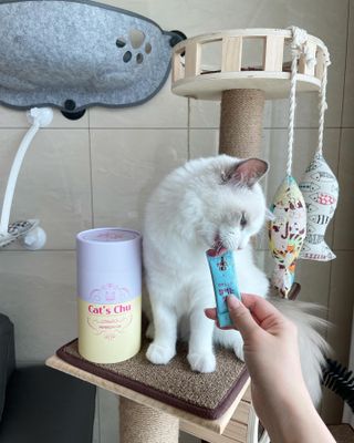 ccoyo님이 올린 리뷰 사진 3