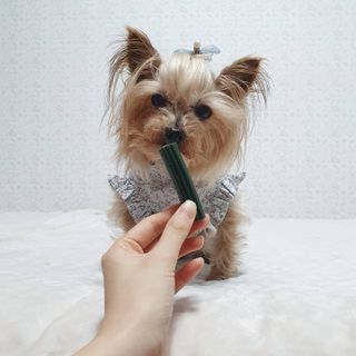 솜희님이 올린 리뷰 사진 3