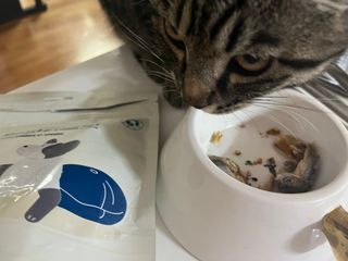 [펫시밀] 원물그대로 영양듬뿍 진공동결건조 치킨텐더100g, 열빙어트릿100g 강아지 고양이 간식 — 5점을 준 리뷰어가 2023년 5월 올린 사용 사진
