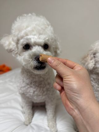 워리네님이 올린 리뷰 사진 4
