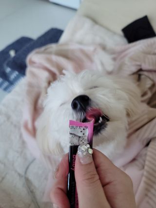 김지영님이 올린 리뷰 사진 3