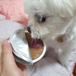lala님이 올린 리뷰 사진 3