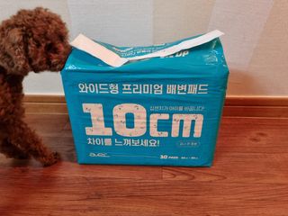 아베크 펫 와이드 프리미엄 대형 애견 강아지 배변 패드 30매 1팩 80g — 5점을 준 리뷰어가 2021년 7월 올린 사용 사진