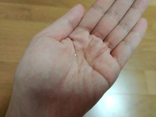 푸르댕댕님이 올린 리뷰 사진 2