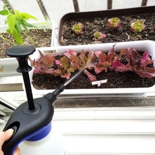 오투오 바이톤 산성용 압축분무기 — 4점을 준 리뷰어가 2021년 6월 올린 사용 사진