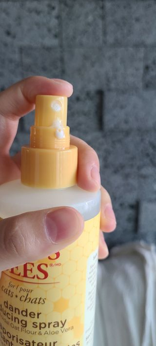 논지님이 올린 리뷰 사진 3