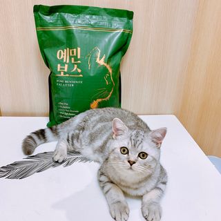 펭뽀꾸님이 올린 리뷰 사진 2