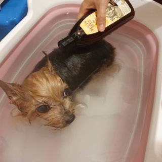 솜희님이 올린 리뷰 사진 2