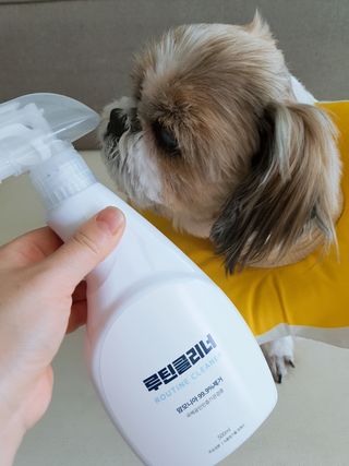 민우다빈이맘님이 올린 리뷰 사진 1