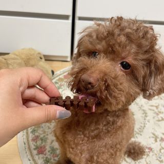 프롬님이 올린 리뷰 사진 1
