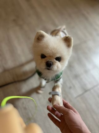 푸푸님이 올린 리뷰 사진 2