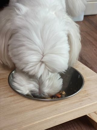달콩리치님이 올린 리뷰 사진 2
