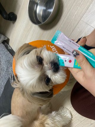 엄지얌님이 올린 리뷰 사진 4