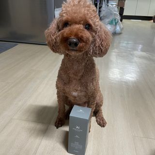 마리앤루이펫샴푸 [mari and louie pet shampoo] — 5점을 준 리뷰어가 2021년 7월 올린 사용 사진