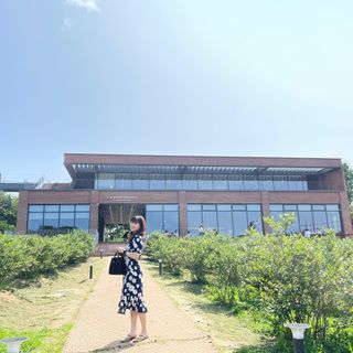 krv2tvjf57f님이 올린 리뷰 사진 1