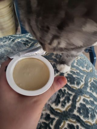 호롤로님이 올린 리뷰 사진 3