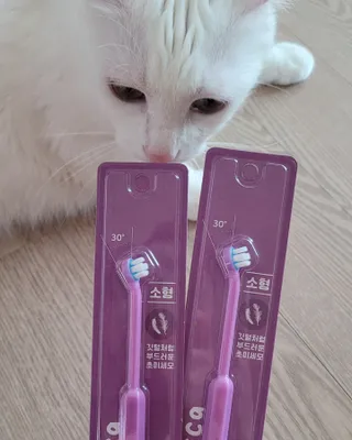 대박이님이 올린 리뷰 사진 3