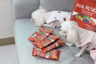 희온느님이 올린 리뷰 사진 2