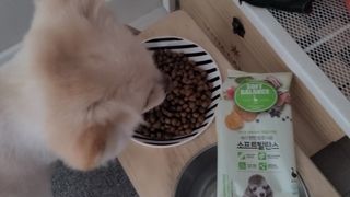 모르님이 올린 리뷰 사진 4