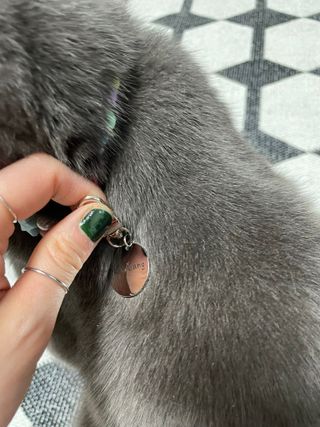 sehee님이 올린 리뷰 사진 3