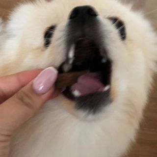 abiing님이 올린 리뷰 사진 2