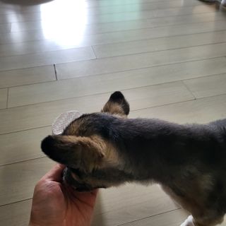 항항항님이 올린 리뷰 사진 4