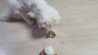 까칠한시연님님이 올린 리뷰 사진 3