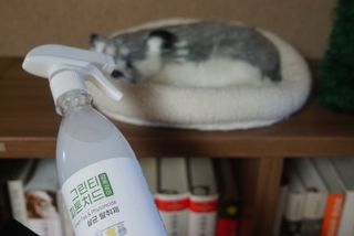 [엠메이데이] 그린티 피톤치드 감쪽같이 500ml + 손소독액 50ml — 5점을 준 리뷰어가 2022년 1월 올린 사용 사진