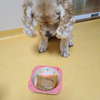 제니맘님이 올린 리뷰 사진 4