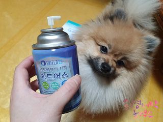 꼬마마녀와꼬망마님이 올린 리뷰 사진 1