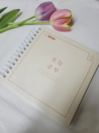 룡쓰스토리님이 올린 리뷰 사진 1