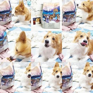 림림님이 올린 리뷰 사진 1