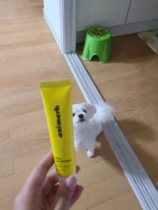 하승님이 올린 리뷰 사진 4