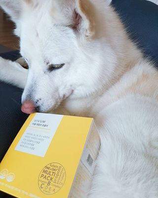 딸랑구둘🥰님이 올린 리뷰 사진 1