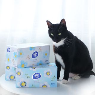 모리님이 올린 리뷰 사진 2