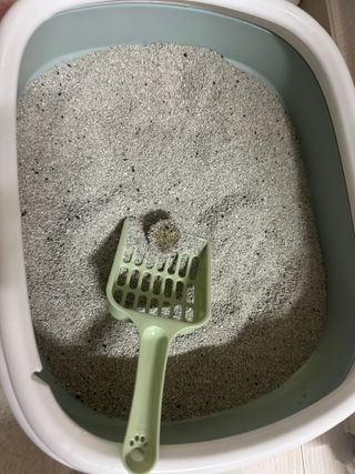 연블링블링님이 올린 리뷰 사진 3