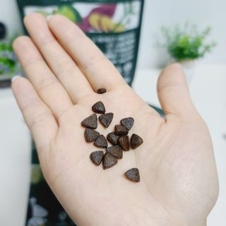 [푸디웜] 라포그  리얼인섹트 웨이트밸런스 저알러지 강아지 사료  1.2KG — 5점을 준 리뷰어가 2021년 7월 올린 사용 사진