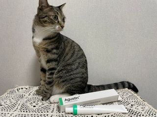 냐옹아냐옹해봐님이 올린 리뷰 사진 1