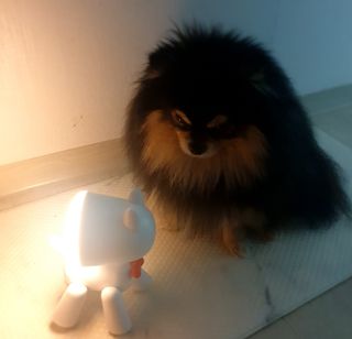 성욘님이 올린 리뷰 사진 1