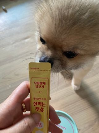 페페로니 잘 먹는 캣츄 - 무항생제 닭고기 12개 + 알래스카 연어 12개 — 5점을 준 리뷰어가 2021년 7월 올린 사용 사진