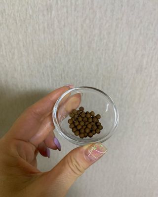 튜율립님이 올린 리뷰 사진 2