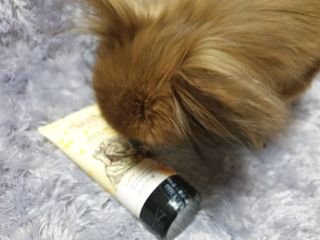 작은곰님이 올린 리뷰 사진 2