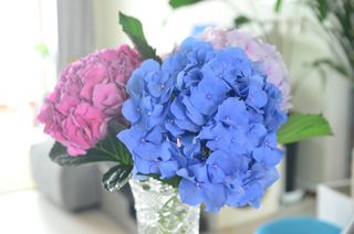 JAY님이 올린 리뷰 사진 2